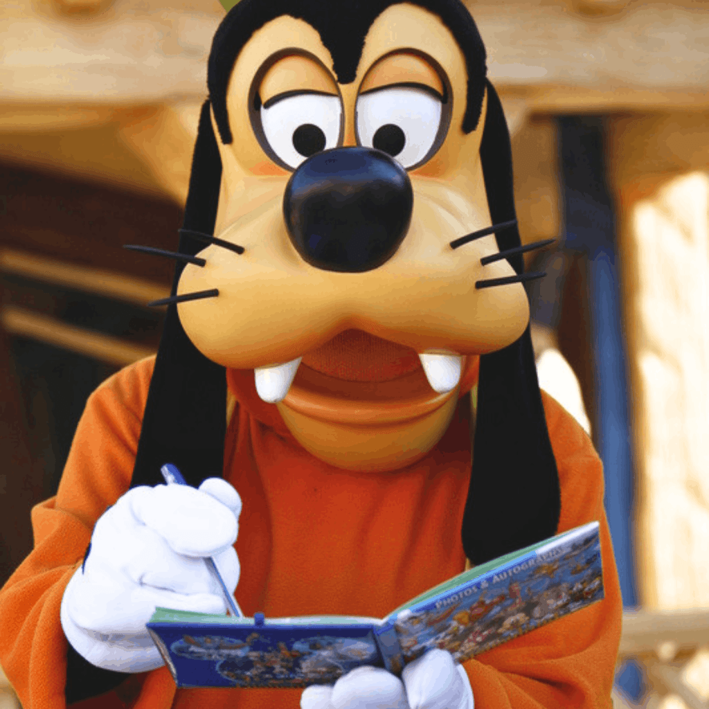 Meeting Characters at Disney World