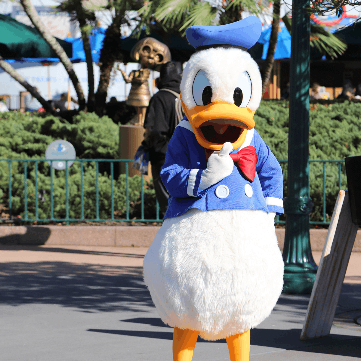 Meeting Characters at Disney World