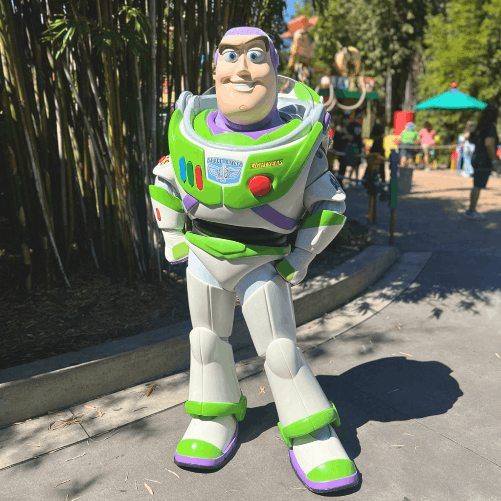 Meeting Characters at Disney World