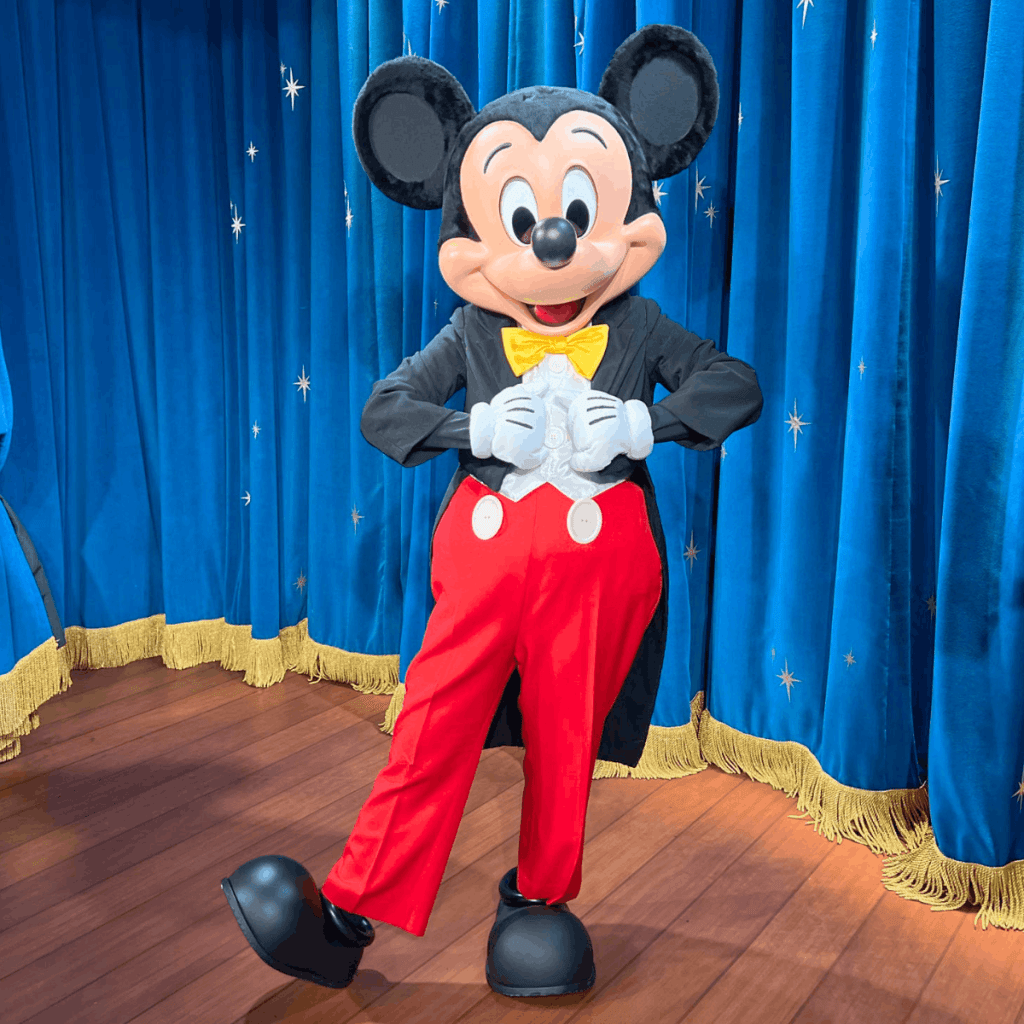 Meeting Characters at Disney World