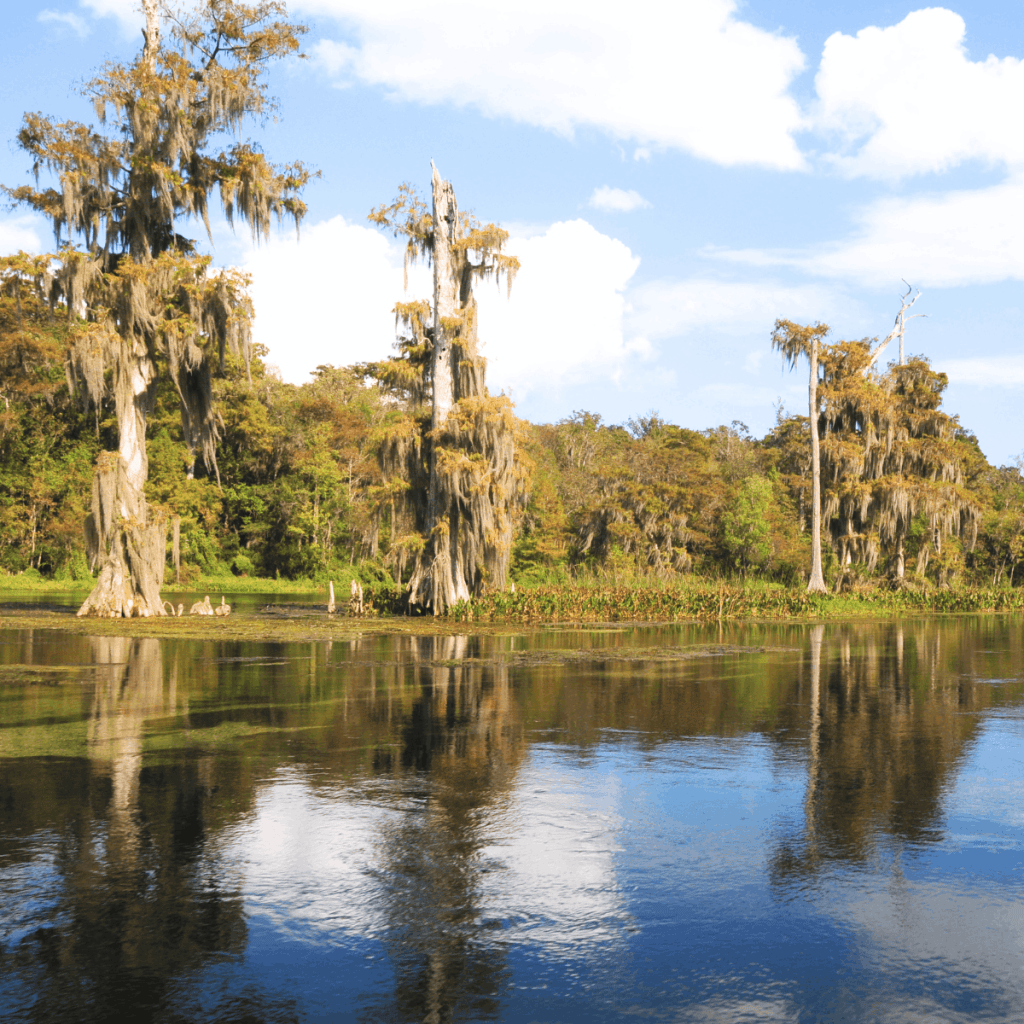 Wakulla Springs - Florida springs near Tallahassee