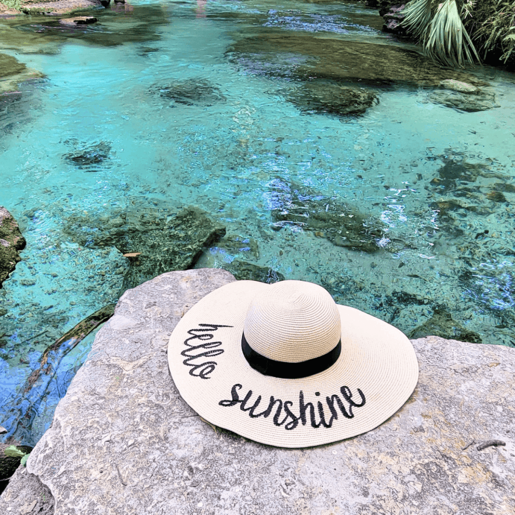 Florida springs near Tallahassee