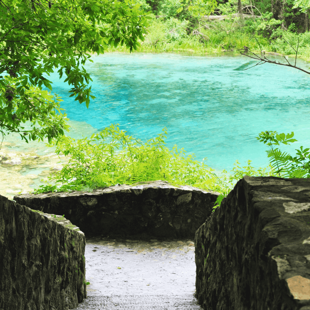 Florida springs near Tallahassee