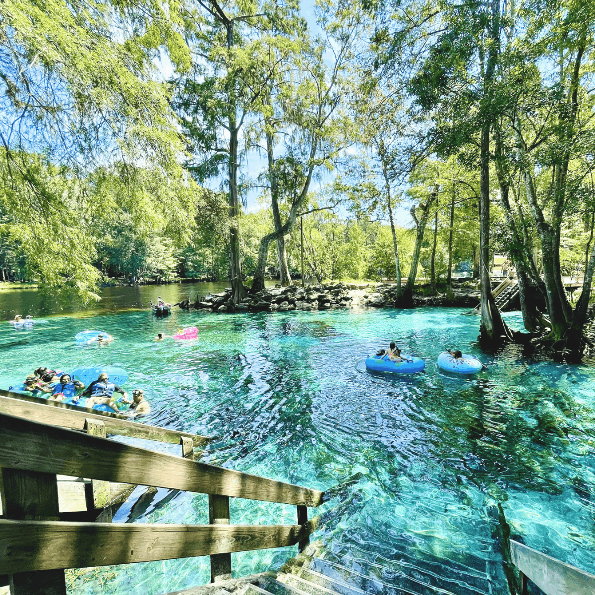 Florida Springs Near Tallahassee