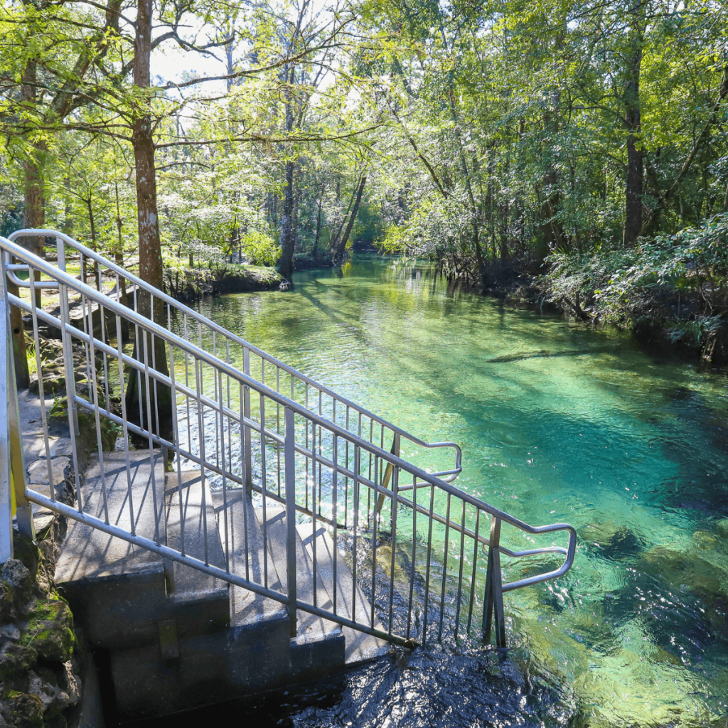 Ponce de Leon Springs - Florida springs near Tallahassee