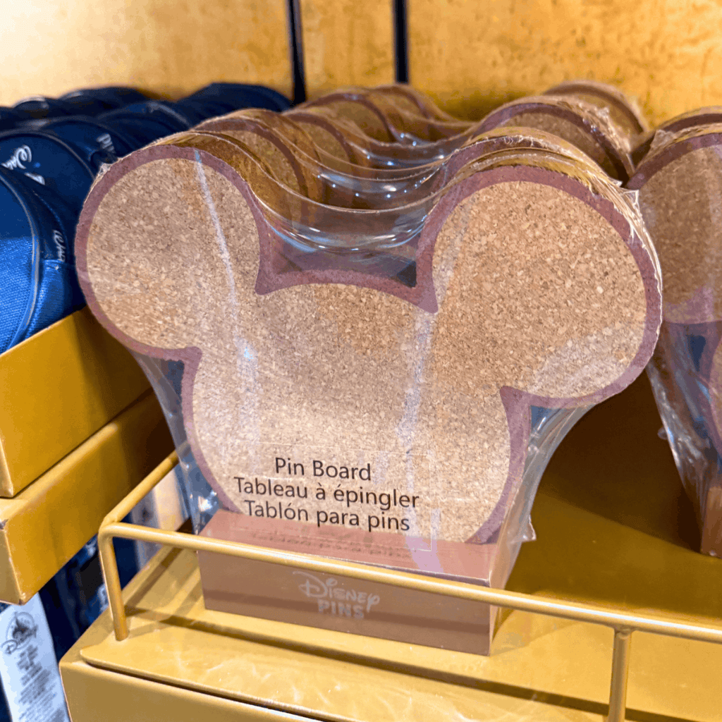 Disney pin board souvenir