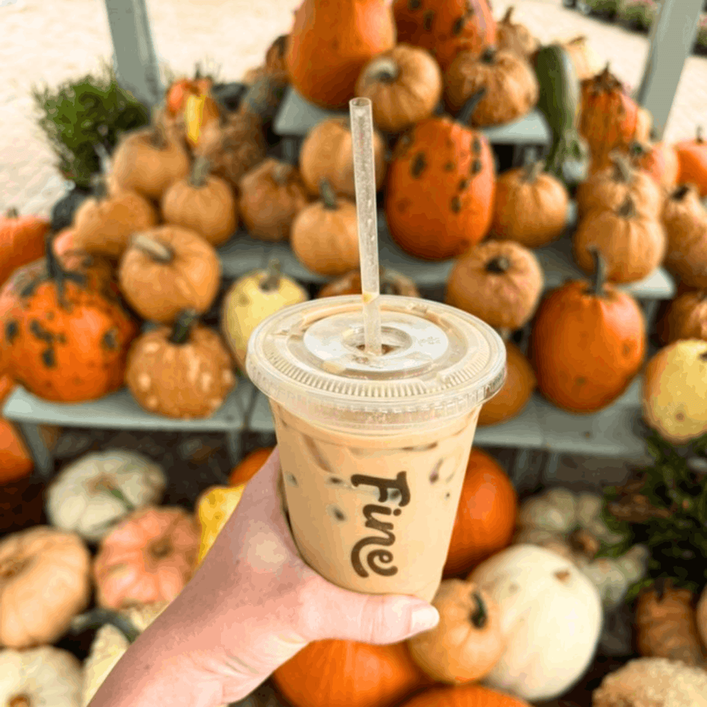 iced pumpkin spice latte pumpkin patches near tallahassee